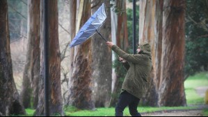 Rachas de hasta 60 km/h: Emiten aviso por vientos en zona de una región del país para esta semana