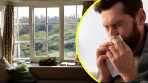 Ni muy temprano en la mañana ni en la noche: Esta es la mejor hora para ventilar la casa en primavera si tienes alergia