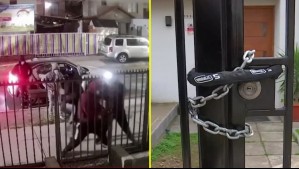 Turbazos en Ciudad de los Valles: Vecinos quieren instalar un portón para protegerse, pero el municipio lo rechaza