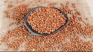 ¿Buscas proteina? Conoce el alimento fácil de usar que iguala a la avena y supera a la quinoa