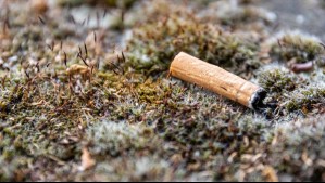 Desde botar colillas al suelo hasta no recoger heces de mascotas: Revisa las nuevas multas contra incivilidades en Ñuñoa