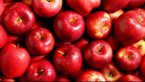 ¿Qué le pasa a tu cuerpo si comes manzana todos los días?