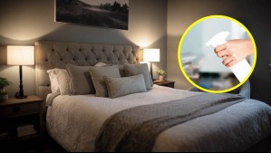 El truco nocturno que puedes aplicar en tu dormitorio si sufres de alergia en primavera, según una microbióloga