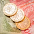 Ya está confirmada la fecha de pago del aguinaldo de Fiestas Patrias 2025 para el sector público, tras el anuncio del Ministerio de Hacienda sobre las remuneraciones del último cuatrimestre del año. Conoce cuándo se entregará.