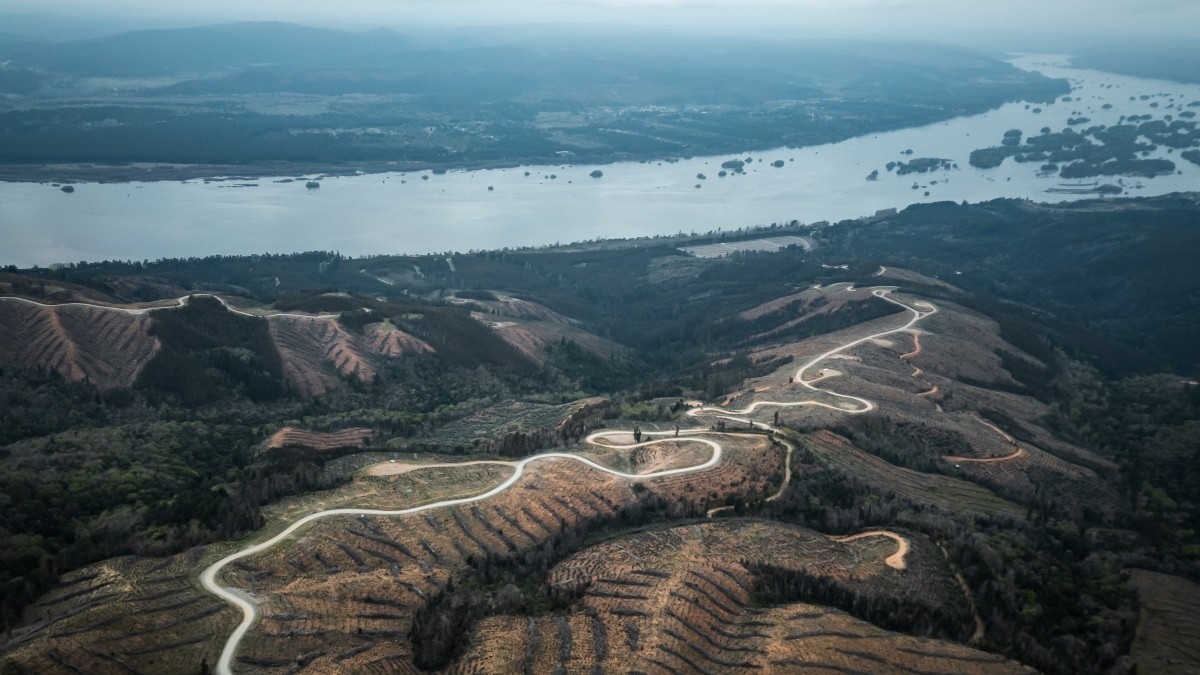 La Región del Biobío se prepara para vivir la cuarta edición del WRC Rally Chile 2025