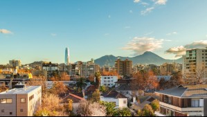 Al menos ocho han sido retirados: ¿Por qué la Municipalidad de Providencia está sacando plátanos orientales?