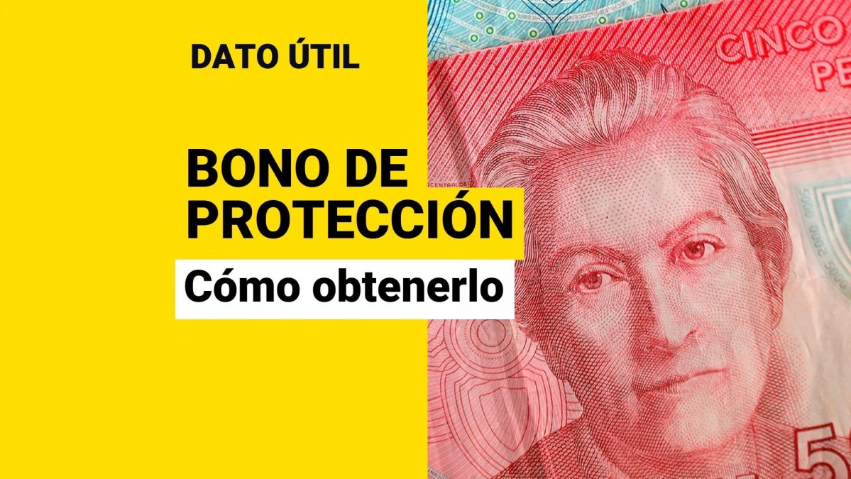 Bono de Protección: Así es cómo puedes obtener el beneficio prioritario para dueñas de casa