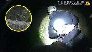 Alerta por violentos delitos en Lo Barnechea: Menor se lanzó a las aguas del Mapocho para escapar