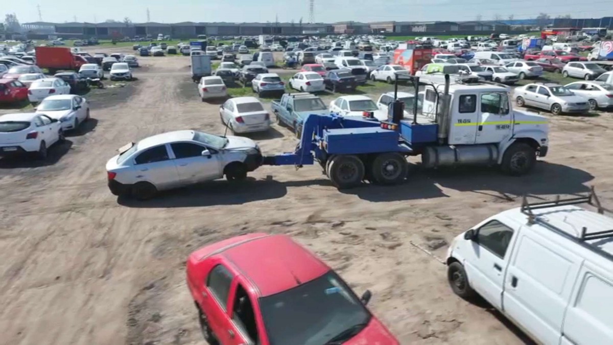 Alerta por robos desde corrales: Crimen organizado sustrae vehículos usando documentos falsificados