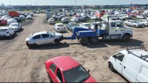 Alerta por robos desde corrales: Crimen organizado sustrae vehículos usando documentos falsificados