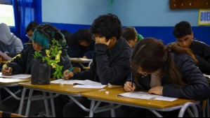 Bono Logro Escolar: ¿Cómo saber si me corresponde?