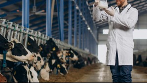 Histórica empresa argentina de lácteos está al borde de la quiebra: ¿Cuáles son las razones?