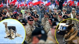 Paracaidistas, el último desfile de un valiente perro y más: Estas son las novedades de la Parada Militar 2025