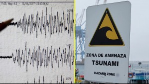 Terremoto de 7,8 sacude a Rusia: SHOA se encuentra evaluando si hay amenaza de tsunami para Chile