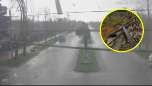 El día después del tornado que azotó a Linares: Más de 150 casas afectadas, daños al rodoviario y cortes de luz