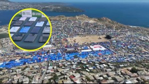 'Lanzas internacionales' llegaron a La Pampilla para robarle los celulares a los asistentes: ¿Cómo operaban?