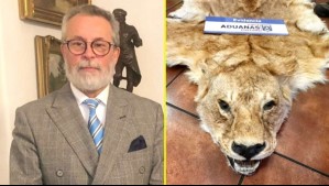 Rechazan sobreseimiento de exembajador de Chile en Hungría por caso de contrabando de pieles de animales salvajes