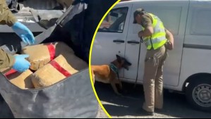 Carabineros detiene a tres sujetos con casi 270 kilos de marihuana: Habían repartido la droga en 173 paquetes