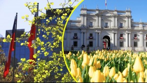 A esta hora comienza oficialmente la primavera en Chile este lunes 22 de septiembre