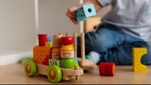 Bono Compensatorio de Sala Cuna: ¿En qué casos puede cobrarlo una madre trabajadora?