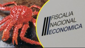 Fiscalía Nacional Económica denuncia a siete empresas por colusión en el mercado de la centolla