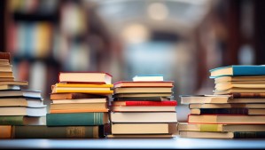 Liquidadora de libros abrió una sucursal en pleno Barrio Lastarria: Precios parten en los $3 mil