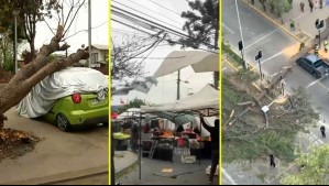 Árboles en el suelo y autos destruídos: Así fue la jornada de lluvia, granizo y fuerte viento este viernes en la RM