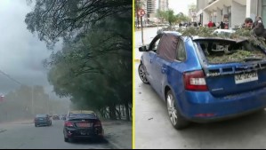 'Fue bien complicado': Testimonios de testigos de los vientos que provocaron caída de árboles y dejaron vehículos destruídos
