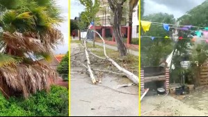 Fuertes ráfagas de viento generan caída de árboles y cortes de luz en Santiago
