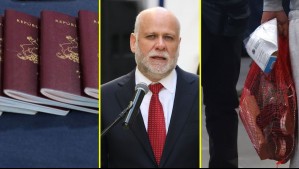 Ministro Elizalde confirmó arribo de 31 chilenos deportados de Estados Unidos: Ya son 176 durante la 'era Trump'