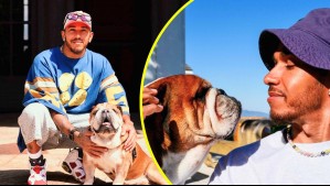 La gran tristeza de Lewis Hamilton tras la muerte de su perro Roscoe: Tuvo que dormirlo tras días hospitalizado