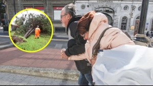 Se esperan rachas de hasta 80 km/h: Los Lagos y Aysén reciben aviso meteorológico por viento normal a moderado