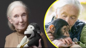 Muere a los 91 años Jane Goodall, destacada científica conservacionista y experta en chimpancés