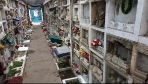 Motivados por una 'promesa': Denuncian que amigos de joven fallecido sacaron su cuerpo de tumba en Chiloé