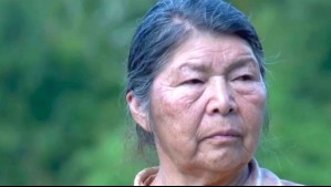 'Maneja información sensible': Revelan detalles de escucha telefónica a empresario que podría dar pistas del caso de Julia Chuñil