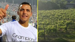 Así es el espectacular complejo de las viñas AlmaSoul de Alexis Sánchez: Posee miradores, restaurante y un hotel boutique