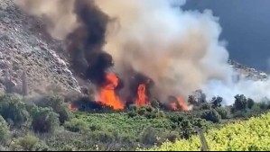 Senapred ordena evacuar sector de Monte Patria por incendio forestal: Siniestro se encuentra 'en combate'