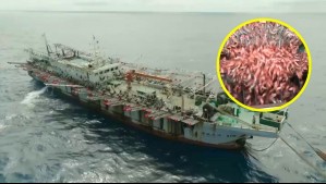 Serían 50 embarcaciones: Flota china cercana a Iquique impediría el paso de especies al mar chileno
