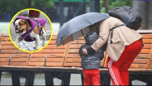 ¿Lloverá este domingo en tu región?: Conoce las zonas de Chile donde se esperan precipitaciones