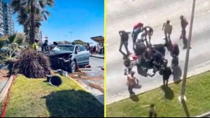 Pareja chocó contra una palmera en Antofagasta: Venían huyendo de un vehículo que los estaba embistiendo