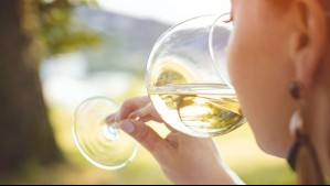 El paradisíaco viaje en tren desde Santiago que te permite conocer los sabores de los viñedos del Maule