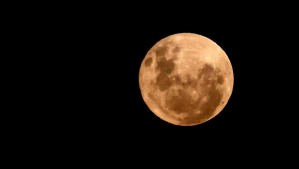 ¿Cuándo y a qué hora ver la Superluna de octubre en Chile?