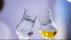 Pisco chileno fue galardonado por partida doble en prestigioso certamen internacional