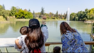 Inauguran primer parque urbano ubicado dentro de un cementerio en Santiago: ¿En qué comuna se encuentra?