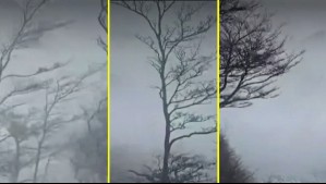 Video muestra viento de 132 km/h que azota a Torres del Paine