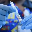 Un estudio científico reveló que el Coronavirus podría provocar ansiedad hereditaria. Si bien el experimento fue realizado en ratones, no se descarta que pueda afectar a las personas. ¡Detalles!
