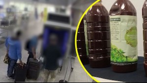Detienen a brasileños en el Aeropuerto de Santiago por intentar ingresar ayahuasca a Chile para rituales