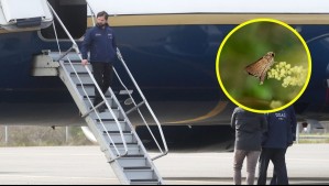 Percance de Boric en su llegada a Chile: Tuvieron que fumigar el avión presidencial tras detectar insecto