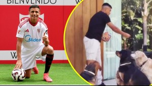 ¡Se sumó un nuevo integrante! Alexis Sánchez publica tierno video junto a todos sus perros