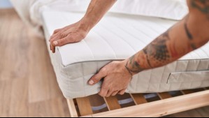 De Temuco al mundo: empresa chilena debuta en Londres con productos de lujo